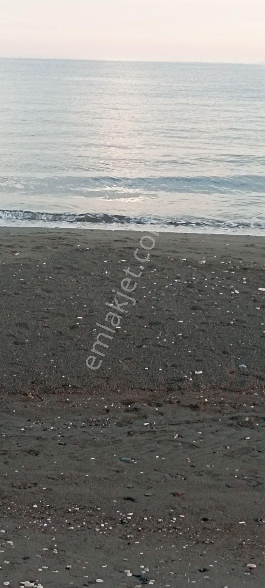 Yazlık 1+1 Sıfır Havuzlu Daire Kocahasanlı Mah Erdemliı