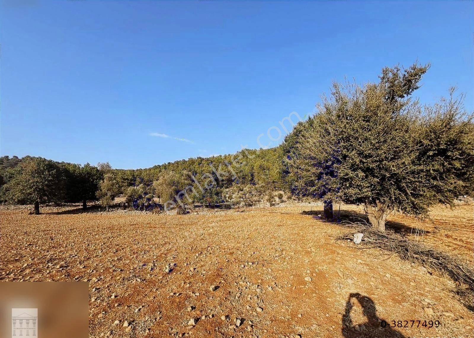 Kayaköyde Satılık Rızai Taksimli Yatırımlık 5300 M2 Tarla - Görsel 2
