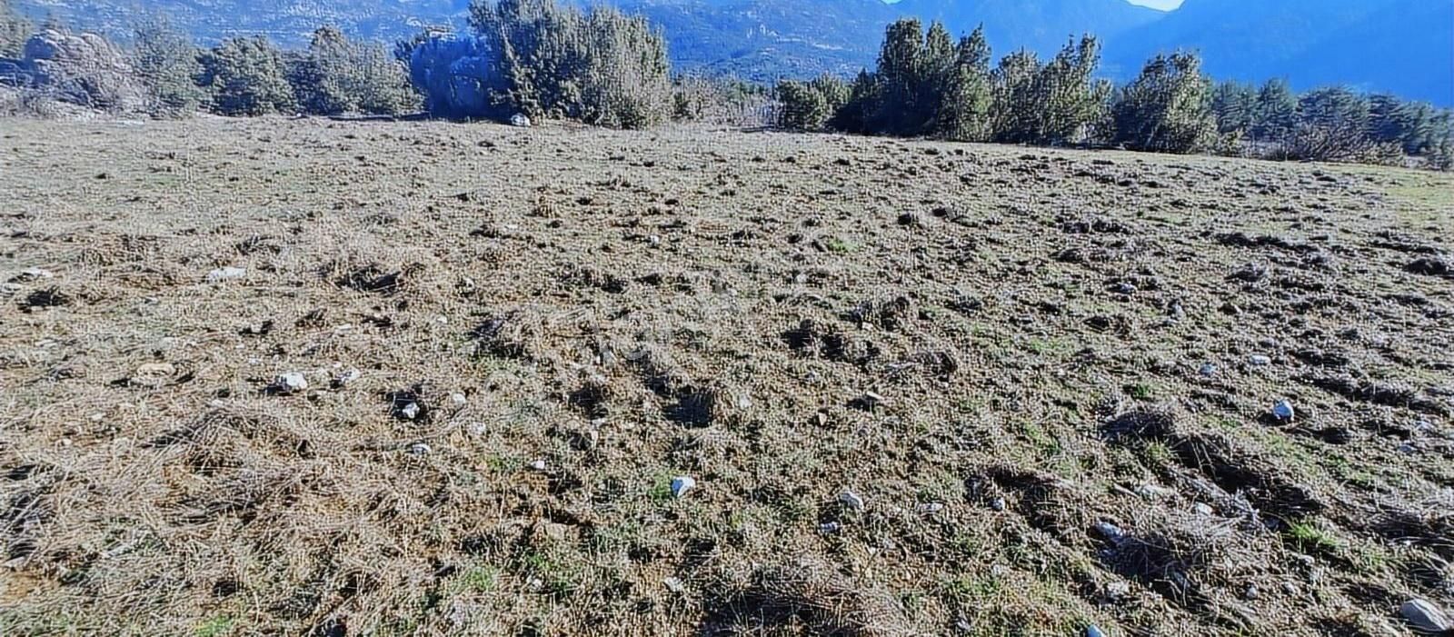 Akseki Erenyaka Satılık Bağ & Bahçe Antalya Akseki Erenyaka Da Usanmaz Emlaktan Tek Tapu Tarla Kacma