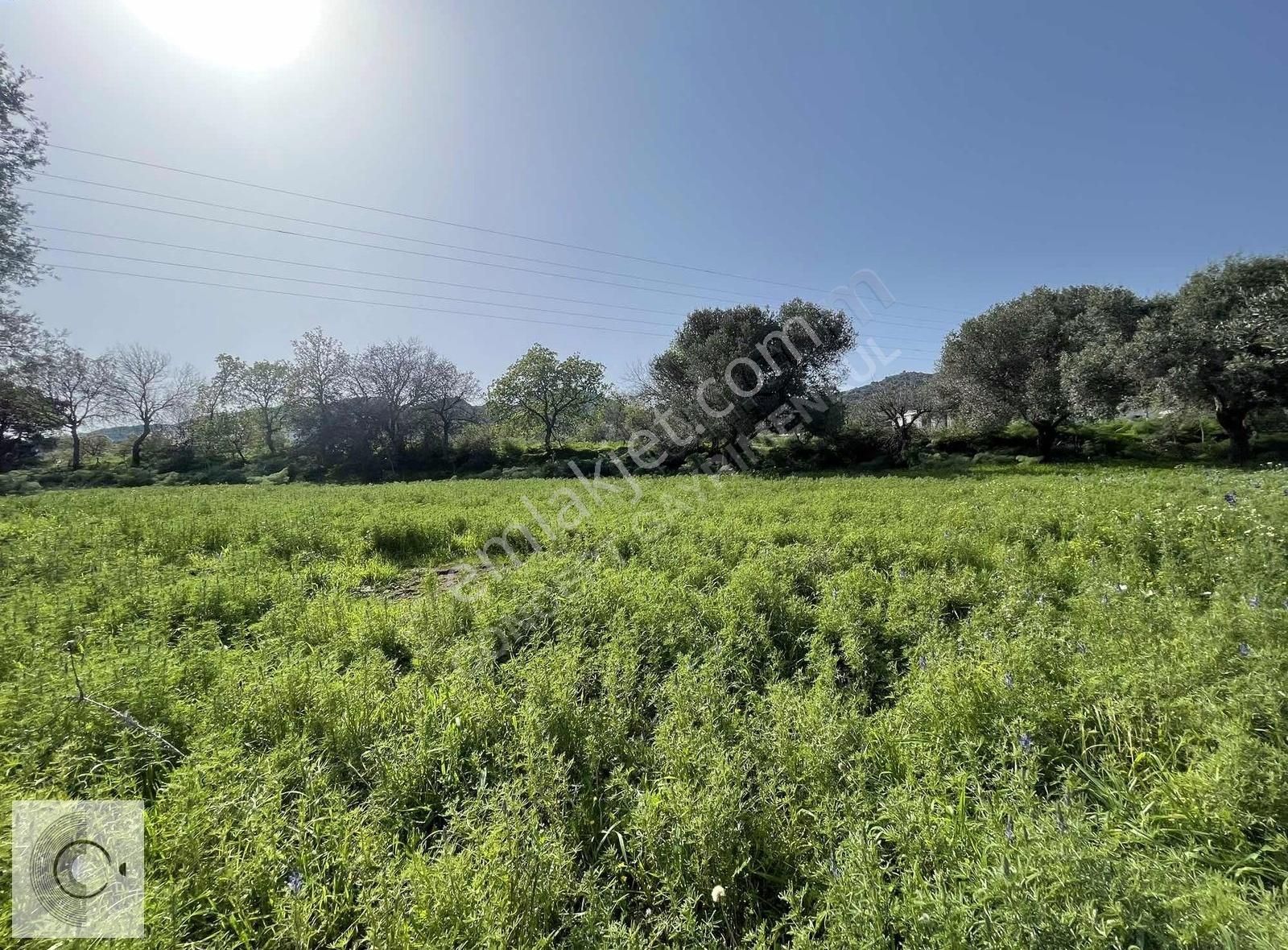 Bodrum Yakaköy Merkezi Konumlu Doğa Manzaralı Satılık Arsa - Görsel 9
