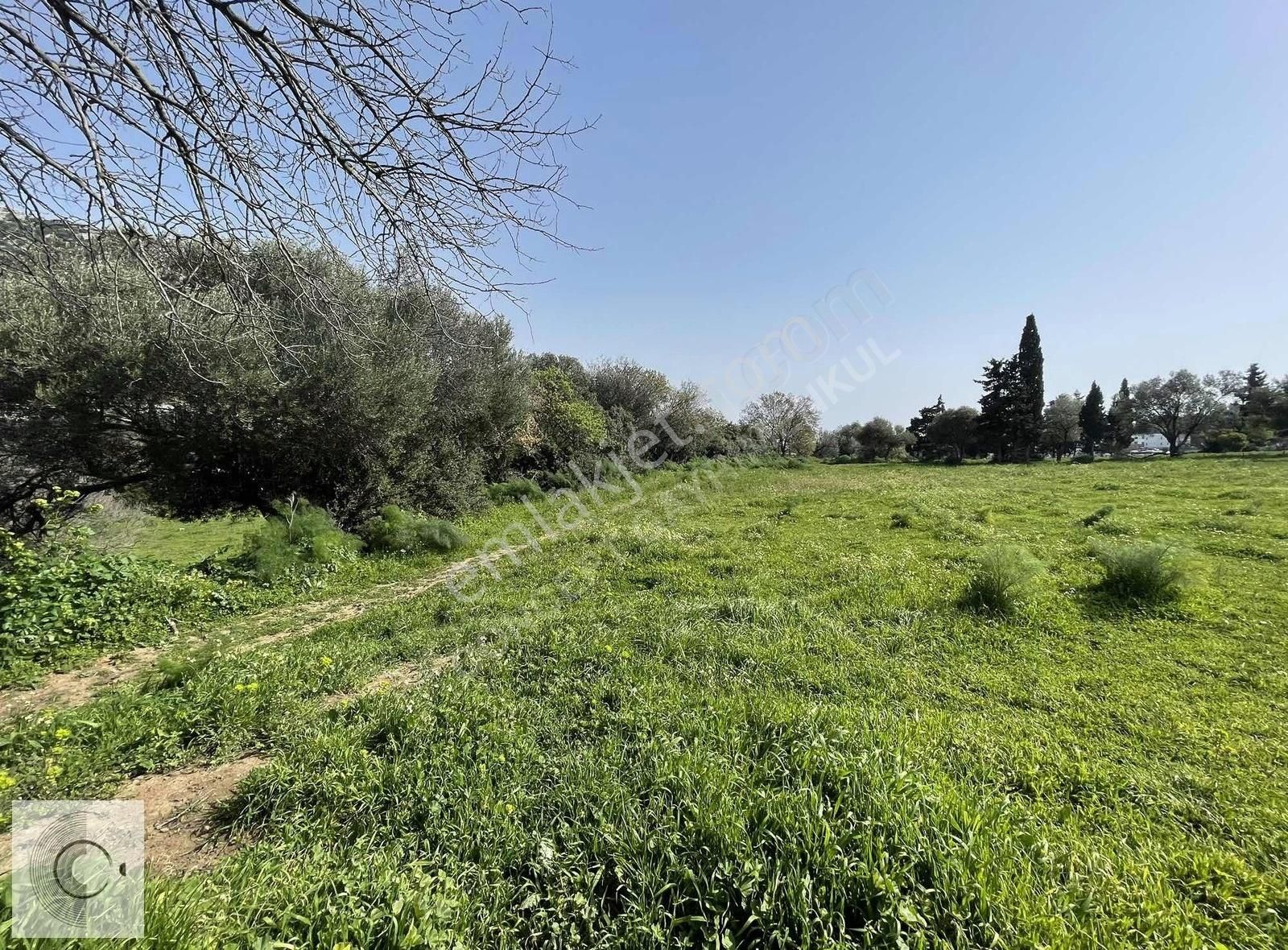 Bodrum Yakaköy Merkezi Konumlu Doğa Manzaralı Satılık Arsa - Görsel 22