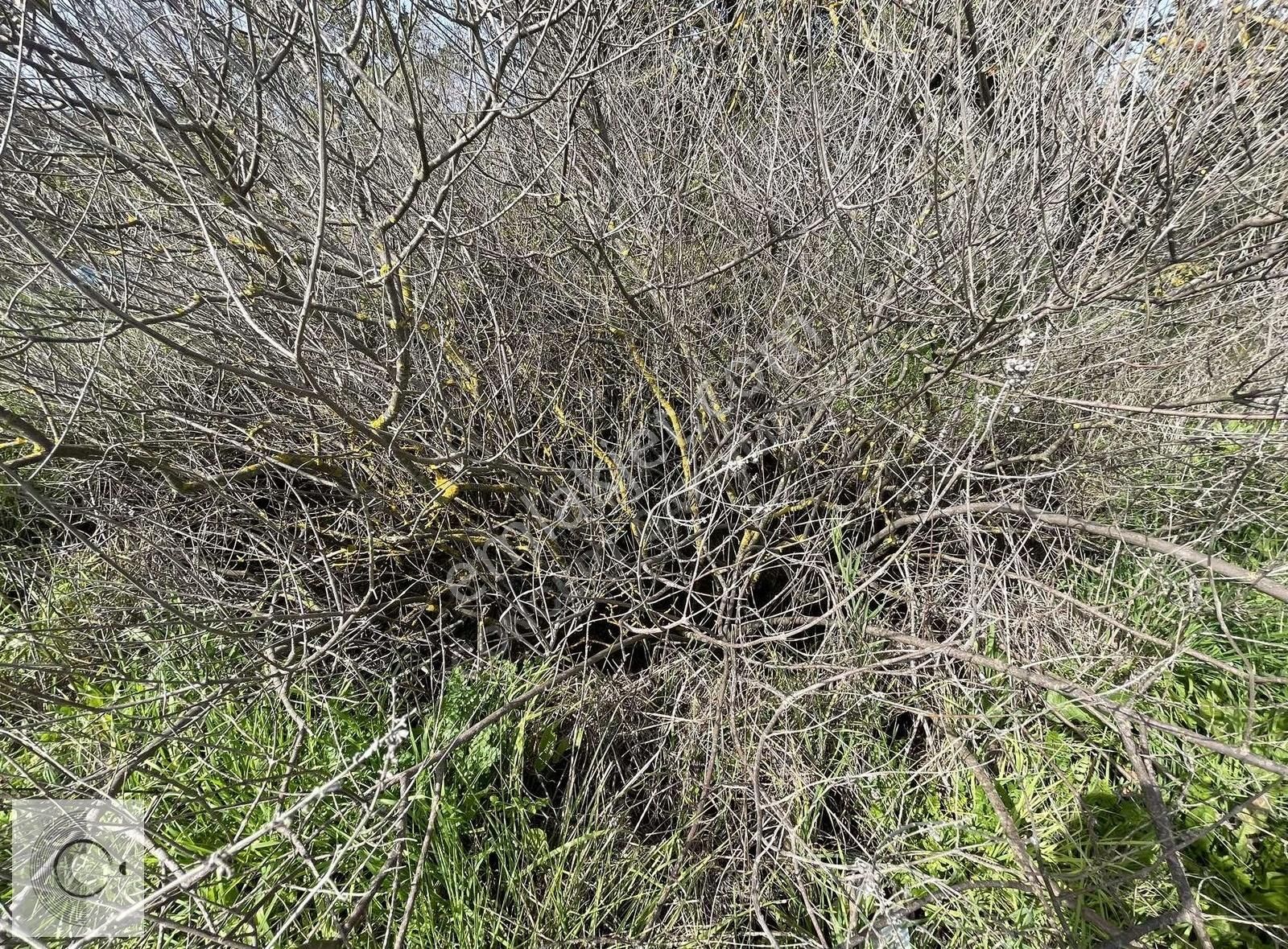 Bodrum Yakaköy Merkezi Konumlu Doğa Manzaralı Satılık Arsa - Görsel 2