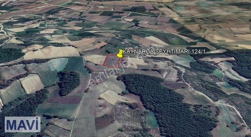 Kaynarca Şeyhtımarı Satılık Tarla Sakarya Kaynarca Şeyhtımarında Satılık 3680 M² Arazi.