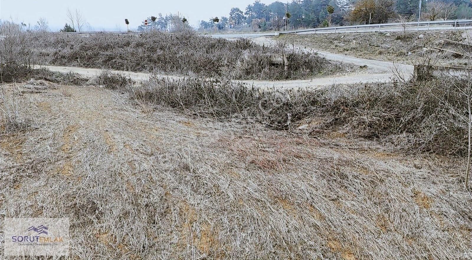 Keşan Çamlıca Köyü (Fevzipaşa) Satılık Tarla Korudağ'ı Girişi Satılık 1.850 M2 Ana Yola Cephe Tarla