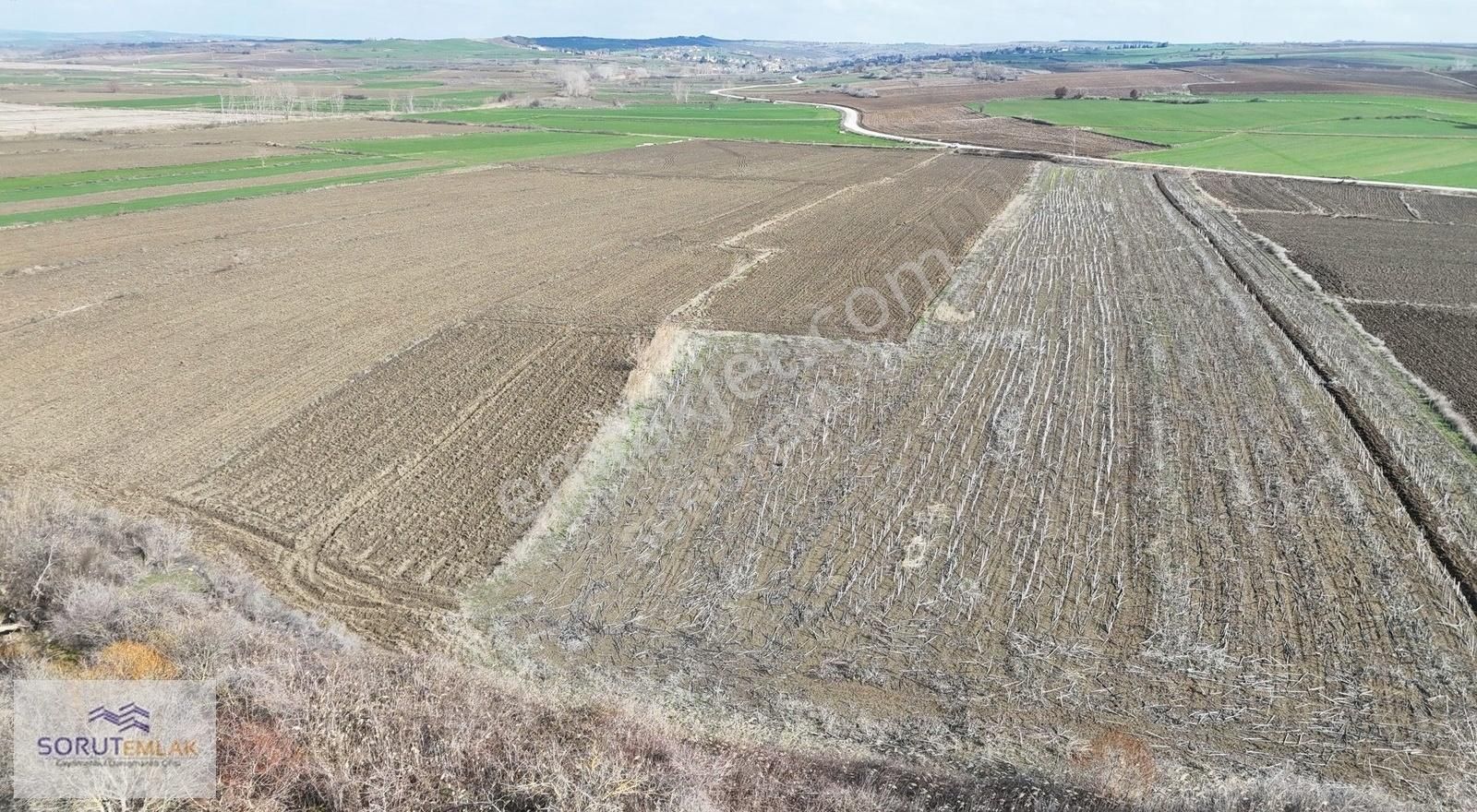 Keşan Küçükdoğanca Köyü Satılık Tarla K.doğanca Ana Yola Cephe Satılık 17.650 M2 Tarla