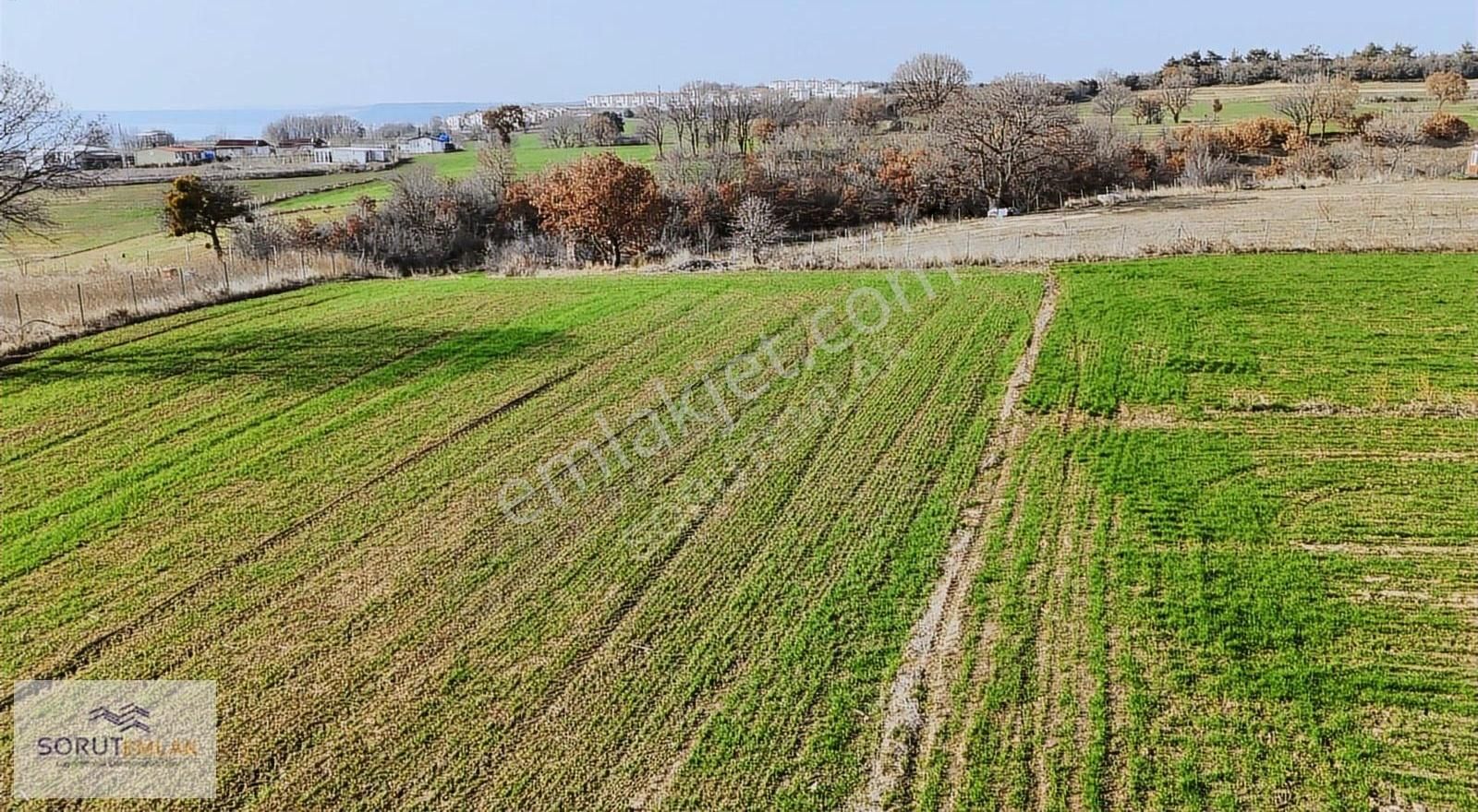 Keşan Mecidiye Köyü (Atatürk) Satılık Tarla Mecidiye Sahil Satılık 2.900 M2 Tarla