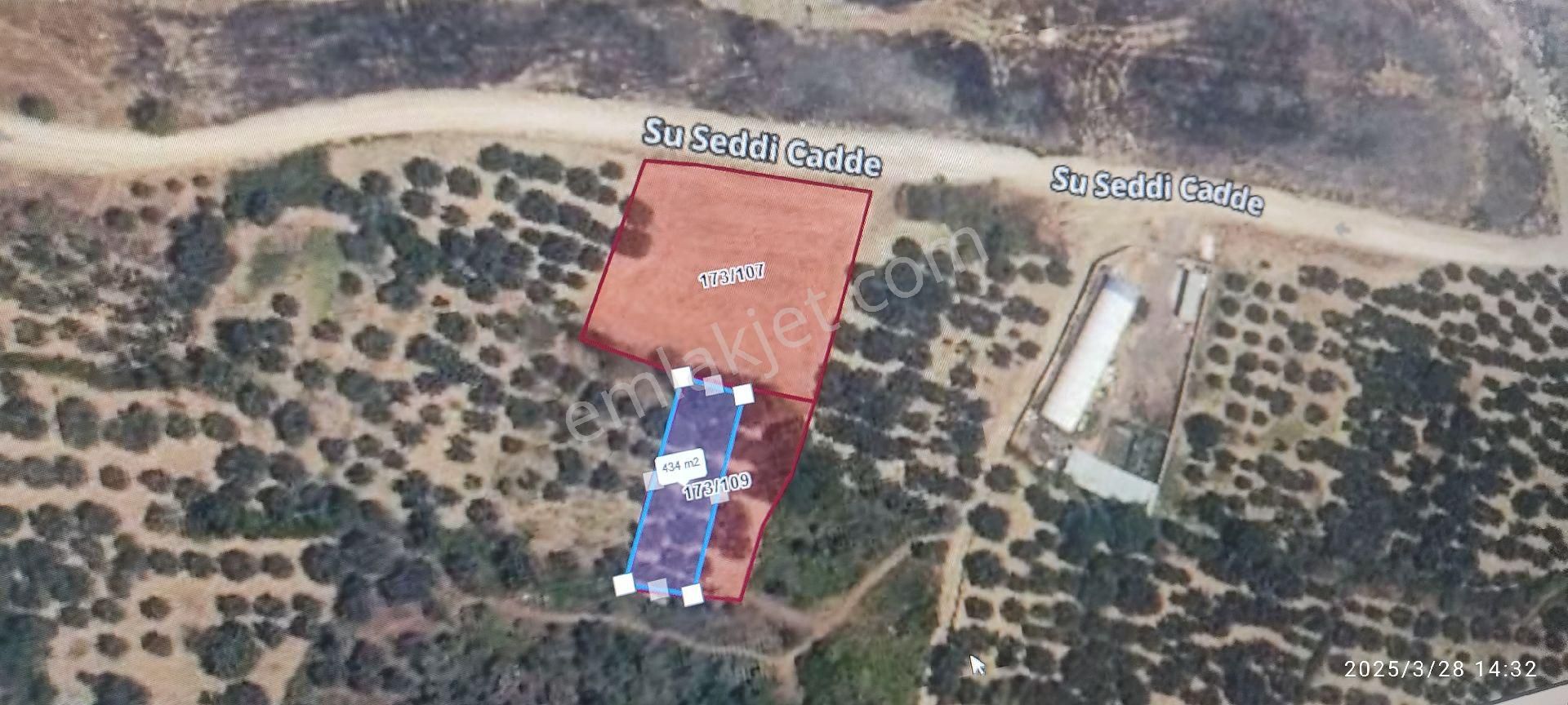 Tekirdağ Şarköy Hoşköyde400+400+400+ 430 Metre Zeytinlik Satılık