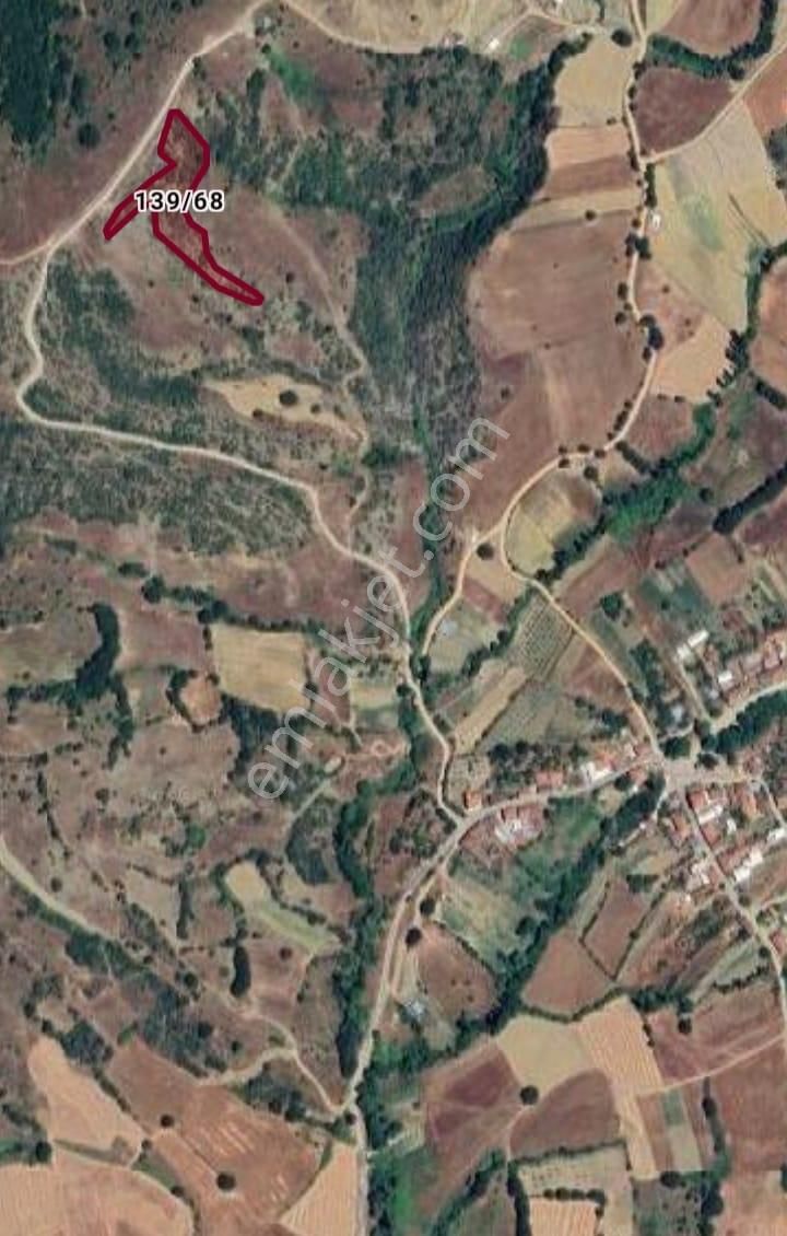 Kestel Nüshetiye'de Yolu, Suyu Olan Tepe Konumda Tarla - Görsel 15
