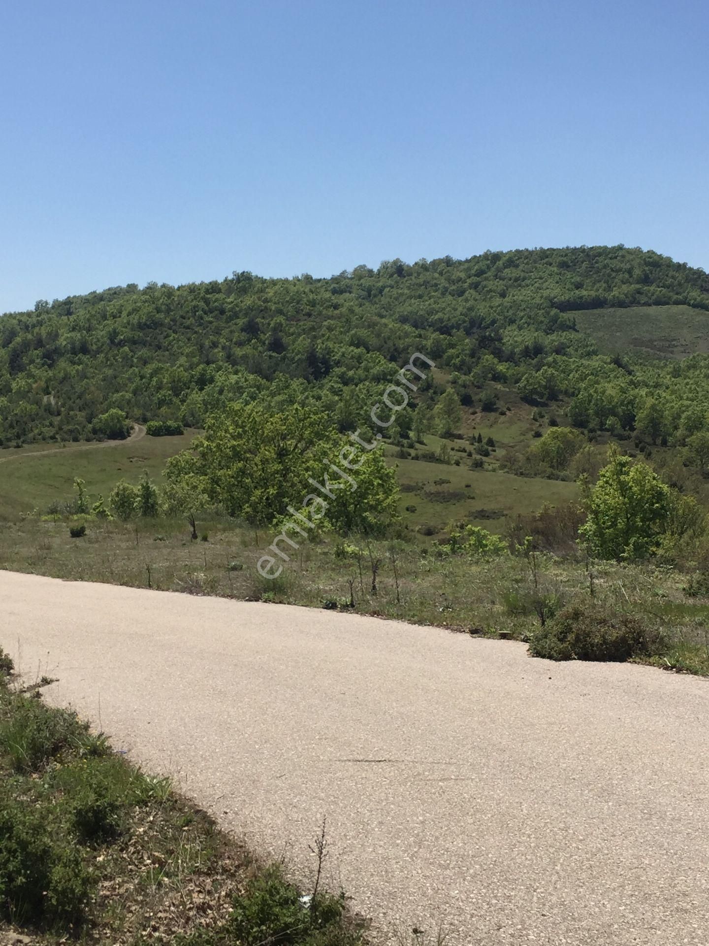Kestel Nüshetiye'de Yolu, Suyu Olan Tepe Konumda Tarla - Görsel 10