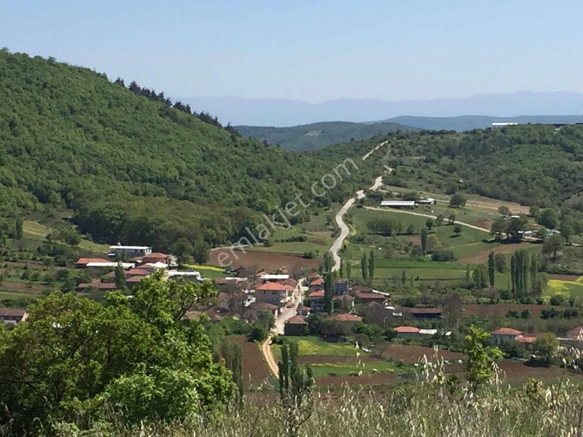 Kestel Nüshetiye'de Yolu, Suyu Olan Tepe Konumda Tarla - Görsel 4