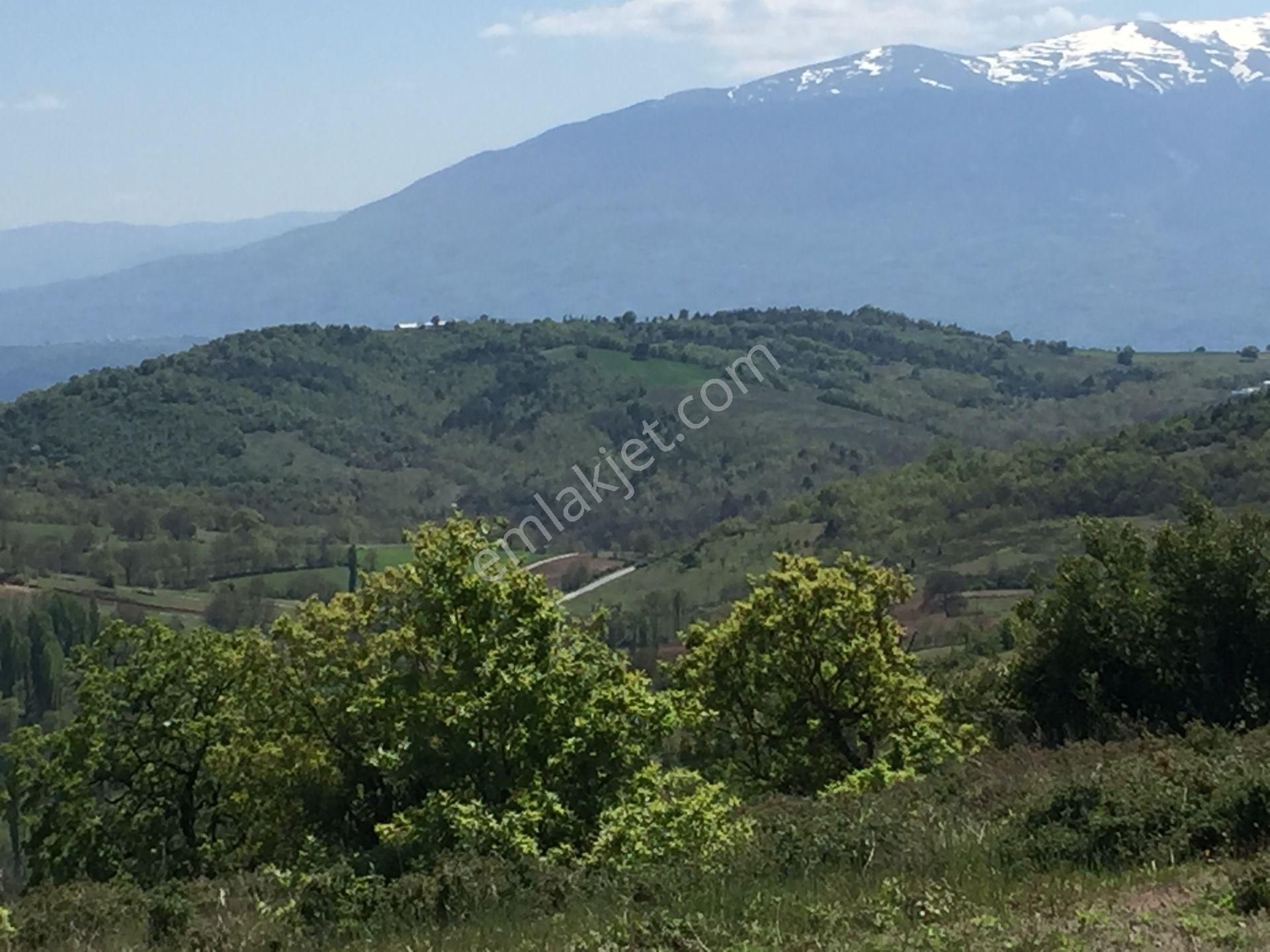 Kestel Nüshetiye'de Yolu, Suyu Olan Tepe Konumda Tarla - Görsel 7
