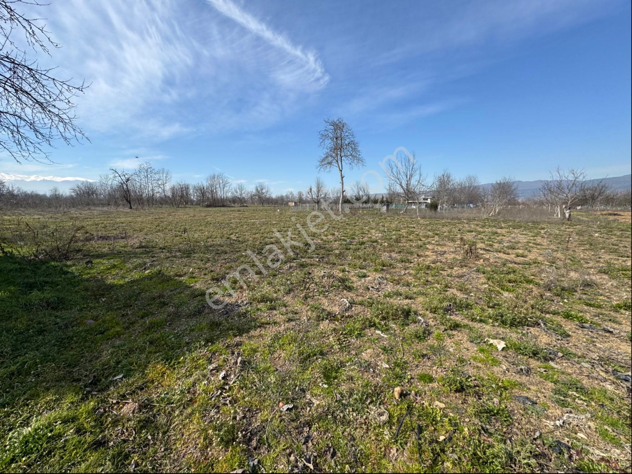 İnegöl Kurşunlu Mh Satılık Tarla - Görsel 4