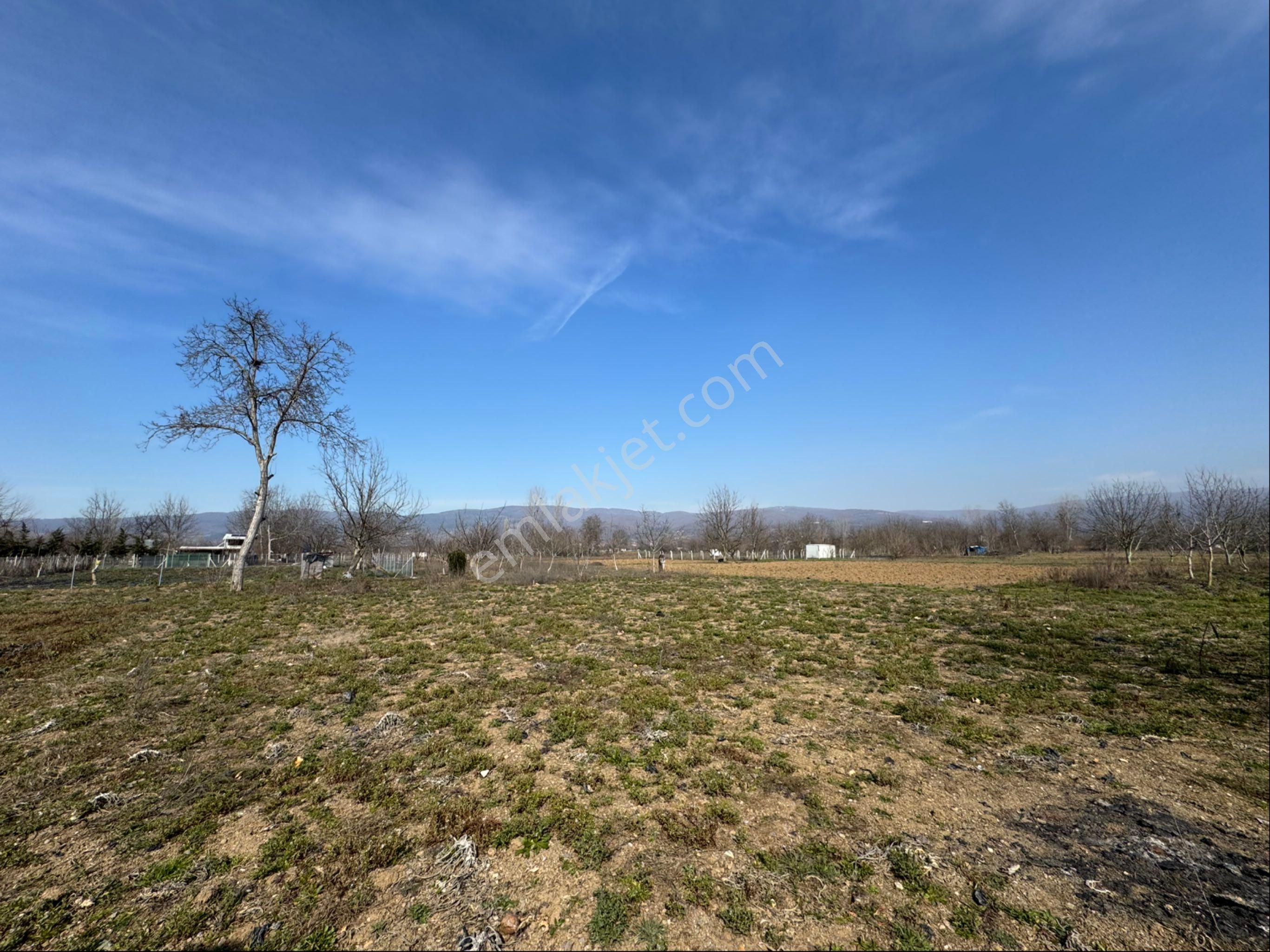 İnegöl Kurşunlu Mh Satılık Tarla - Görsel 7