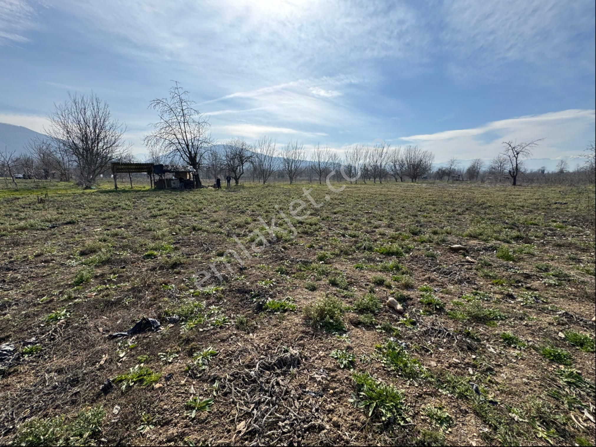 İnegöl Kurşunlu Mh Satılık Tarla - Görsel 6