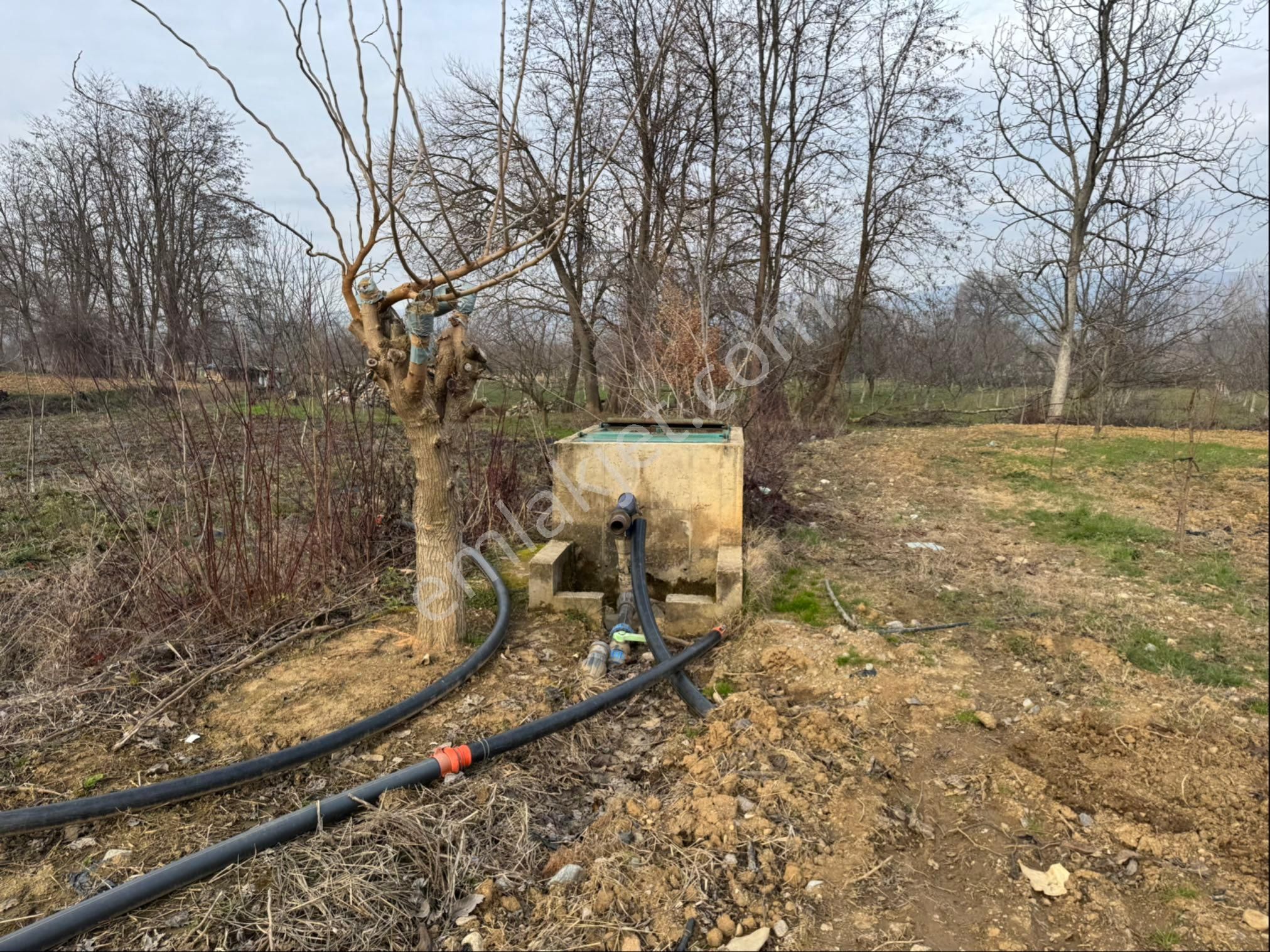 İnegöl Kurşunlu Mh Satılık Tarla 2816 M2 - Görsel 11