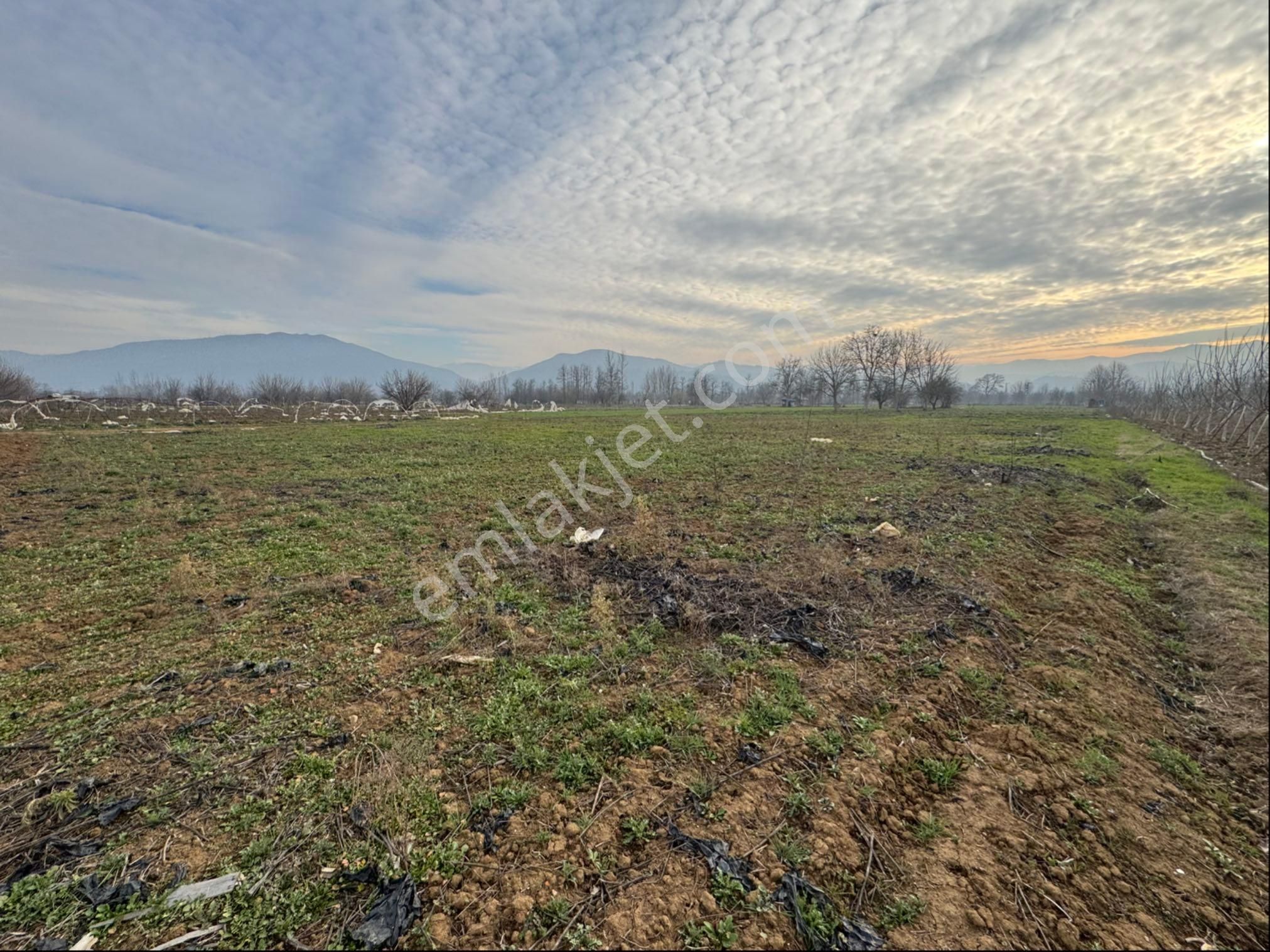 İnegöl Kurşunlu Mh Satılık Tarla 2816 M2 - Görsel 6