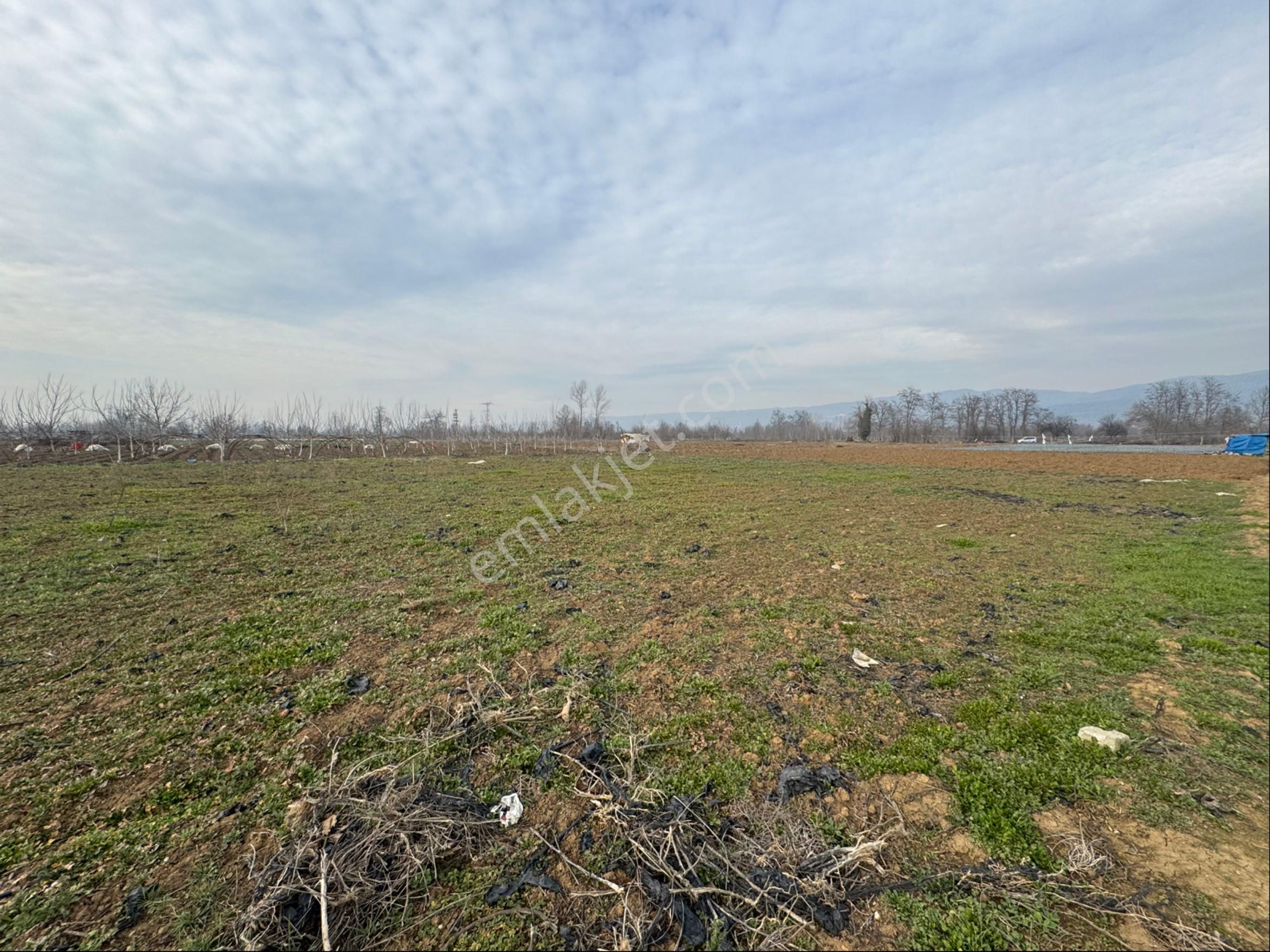 İnegöl Kurşunlu Mh Satılık Tarla 2816 M2 - Görsel 2