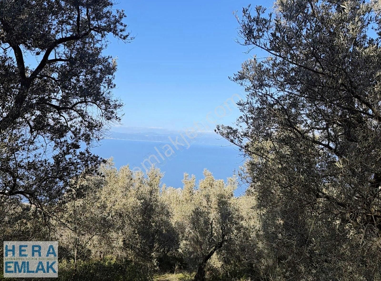 Göle 400 Metre, Full Göl Manzaralı Kelepir Bahçemiz - Görsel 6