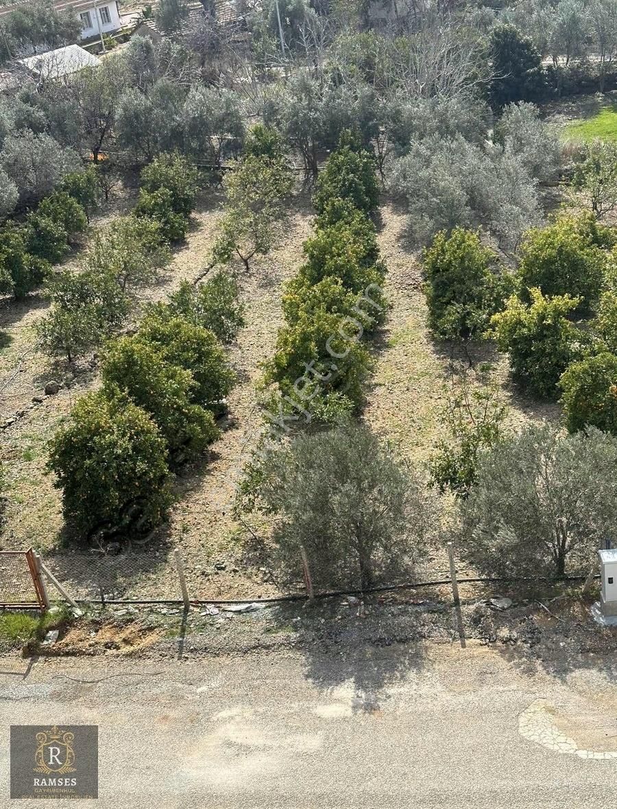 Antalya Manavgat Kızılota Kupon Satlık Dubleks - Görsel 5