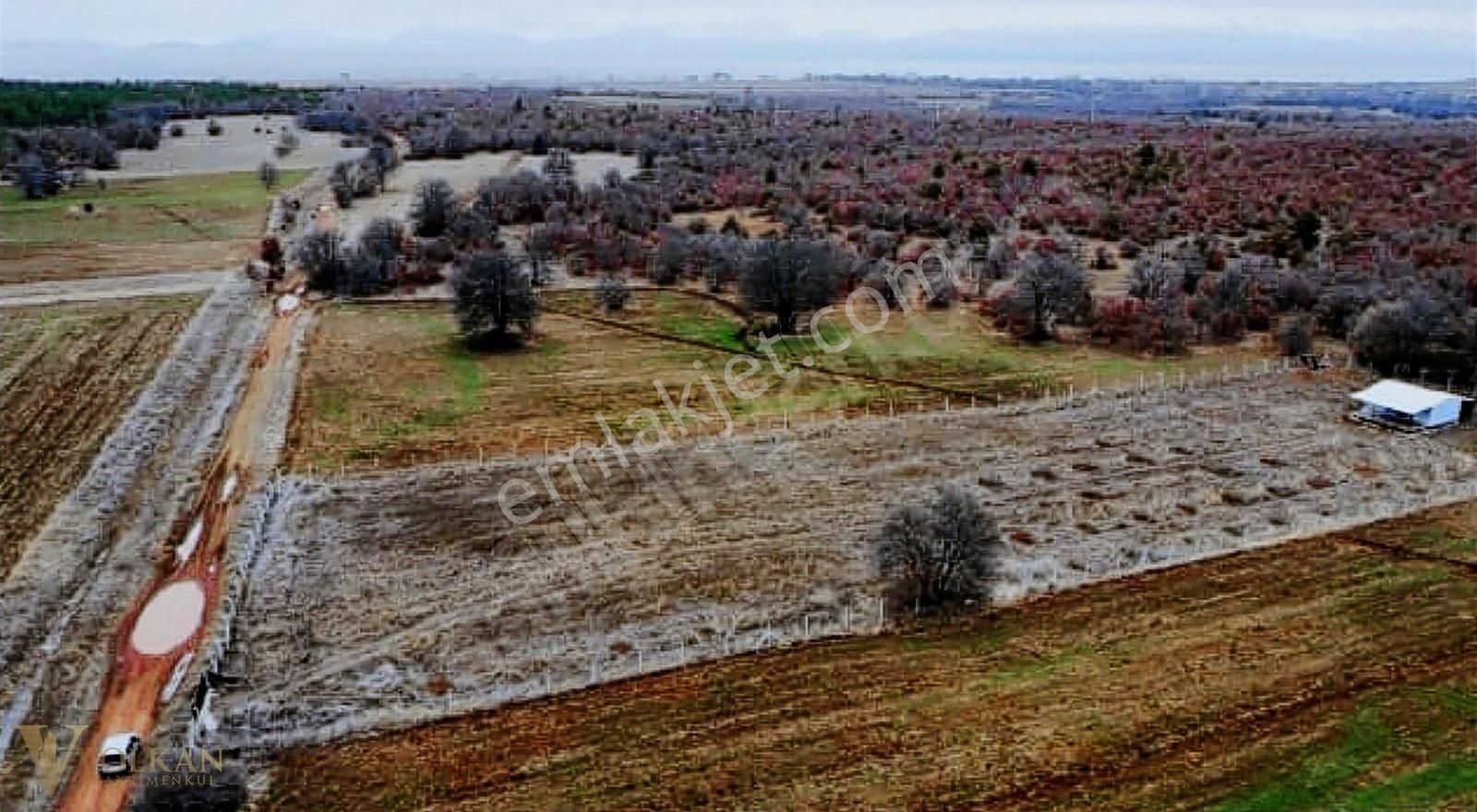 Beyşehir Üstünler Satılık Tarla Beyşehir Üstünlerde Satılık Kupon Tek Tapu Tarla !