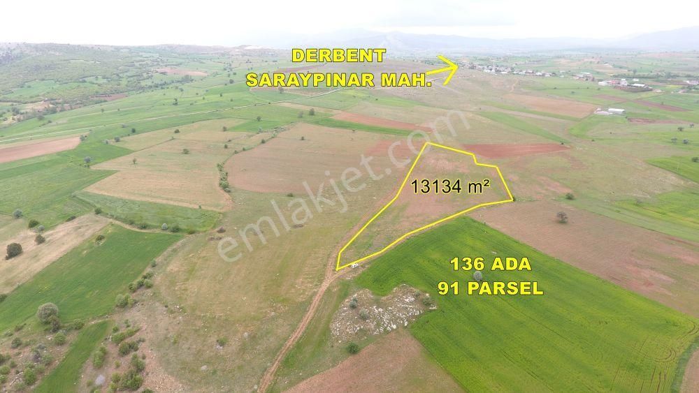 Derbent Saraypınar Satılık Tarla Konya / Derbent / Saraypınar Mahallesinde 13.134 M² Müstakil Tapulu Tarla