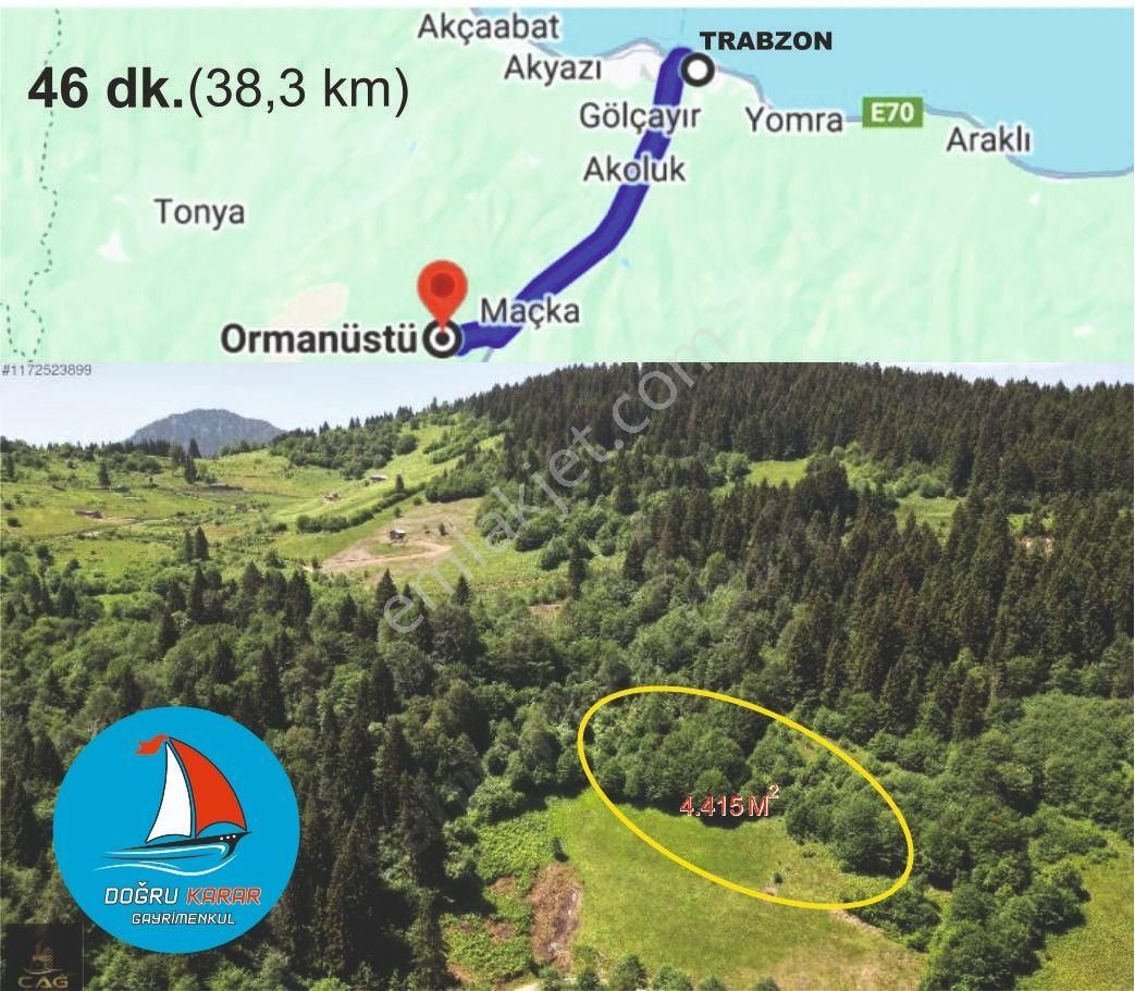 Maçka Ormanüstü Satılık Tarla Doğru Karardan Maçkada Satılık Doğa Harıkası Villalık Arazi