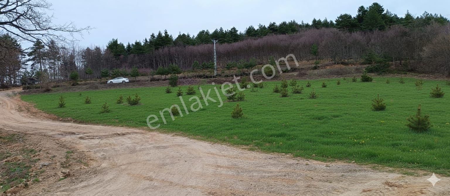 Candarlıda Ana Yola Cephe 4590 M2 Arazi - Görsel 5