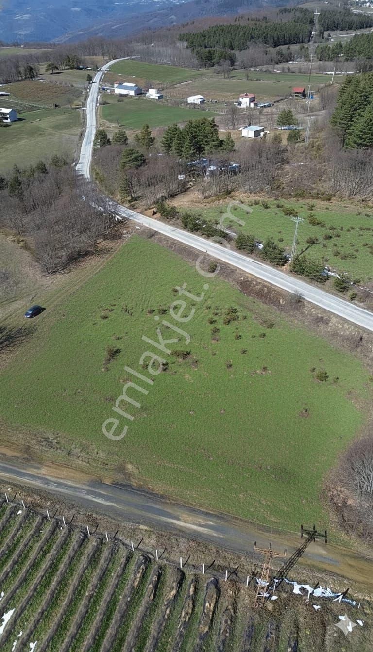 Candarlıda Ana Yola Cephe 4590 M2 Arazi - Görsel 3