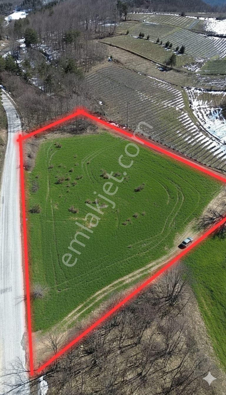 Candarlıda Ana Yola Cephe 4590 M2 Arazi