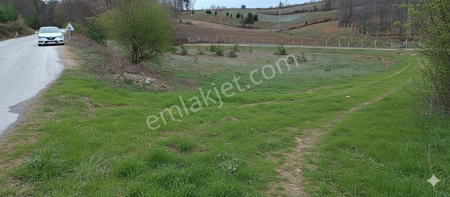 Candarlıda Ana Yola Cephe 4590 M2 Arazi - Görsel 2