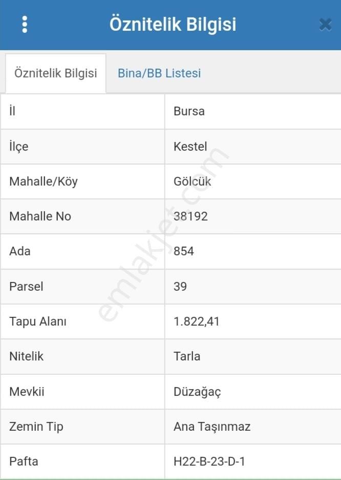 Kestel Gölcük'te Baraj Göletine Yakın Satılık Tarla - Görsel 5