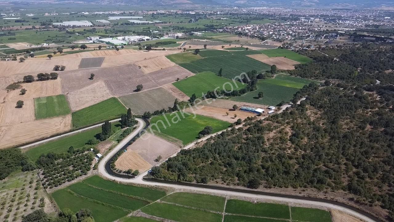 Gönen Hasanbey Satılık Tarla Mayadan Hasanbey'de Yerleşime Yakın Yola Cephe Şahane Arazi