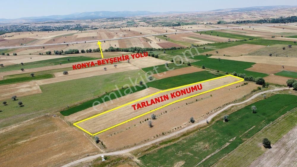 Beyşehir Damlapınar Satılık Tarla Beyşehir-konya Yoluna Yakın 3.105m2 Tarım Arazisi