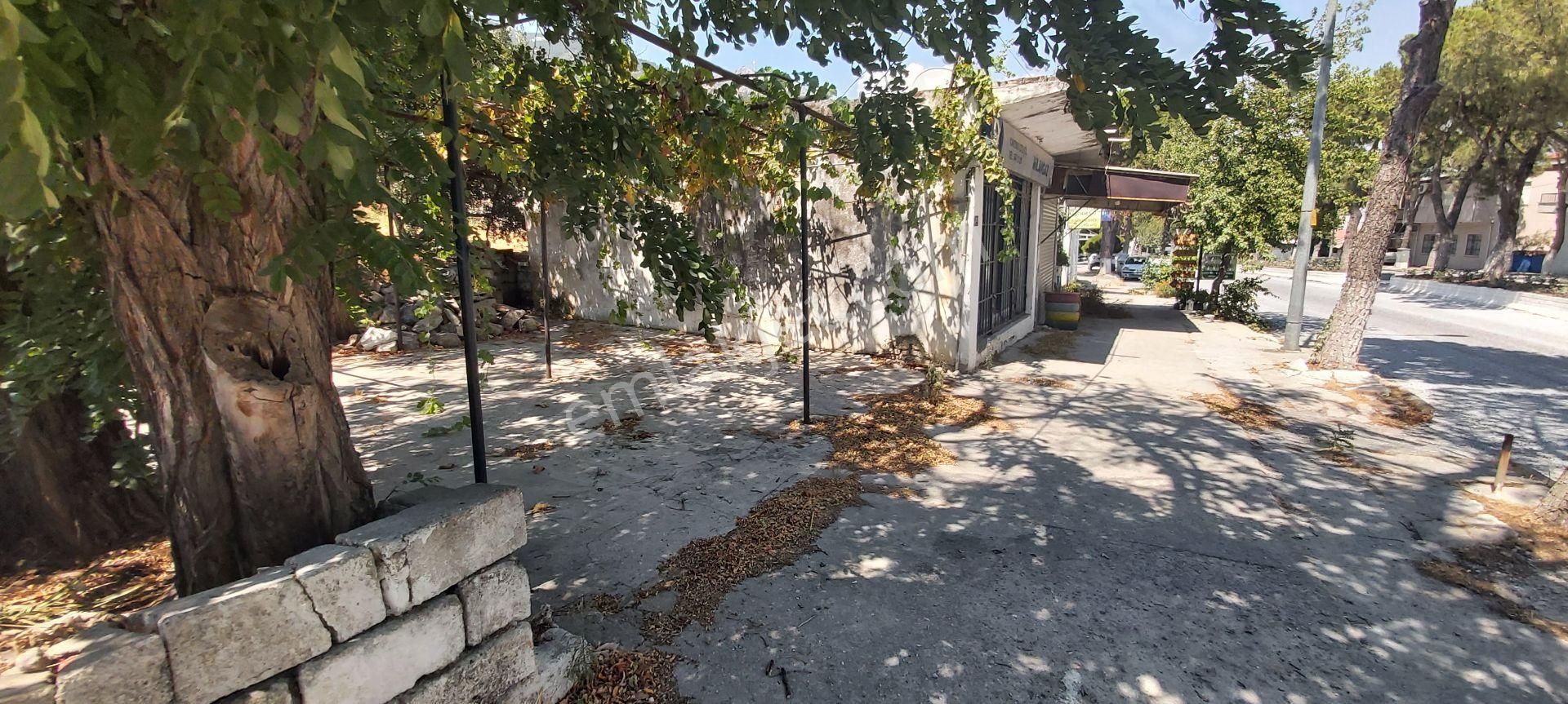 Söke Güllübahçe Mah.de Ticari+konut İmarlı 255 M² Köşe Arsa - Görsel 4