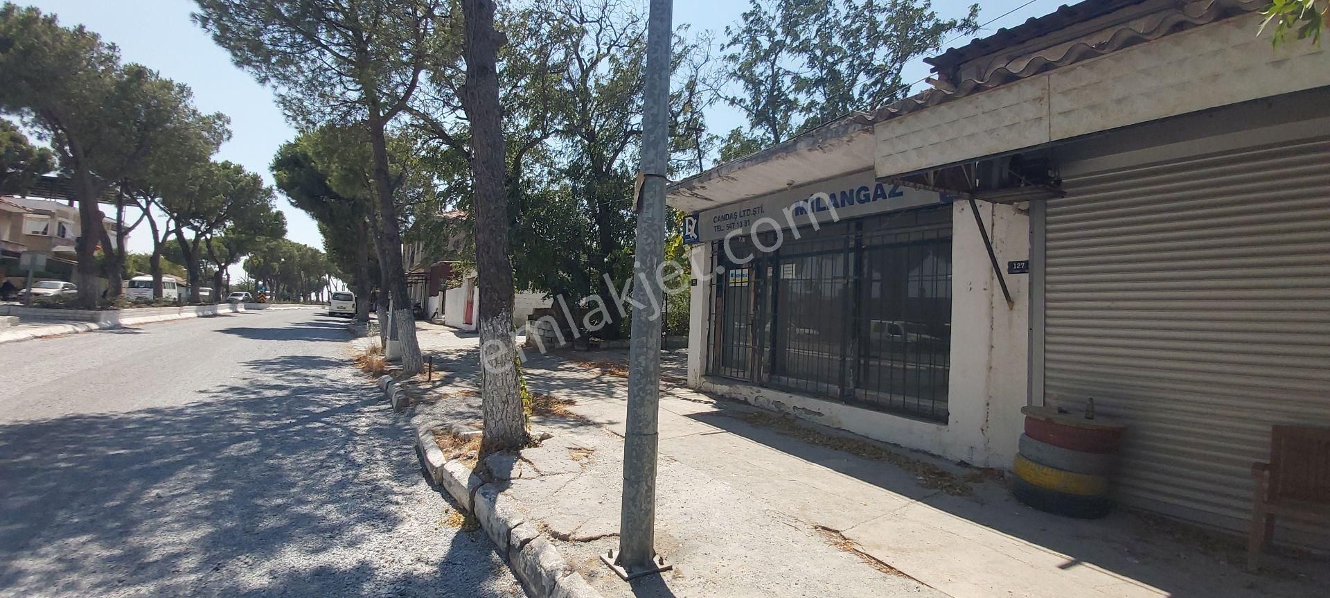 Söke Güllübahçe Mah.de Ticari+konut İmarlı 255 M² Köşe Arsa - Görsel 2