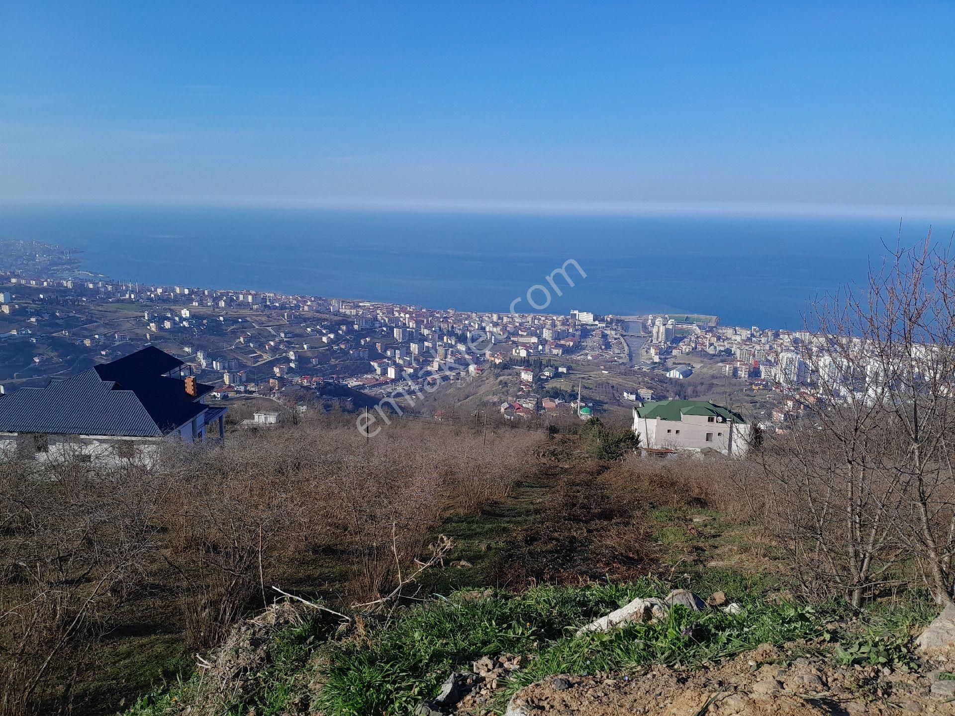 Trabzon Akçaabat Satılık Arazi Trabzon Akçaabat Söğütlüde Sahile 3 Km Uzaklıkta Satılık Önü Kapanmaz Şehir Manzaralı Arsa