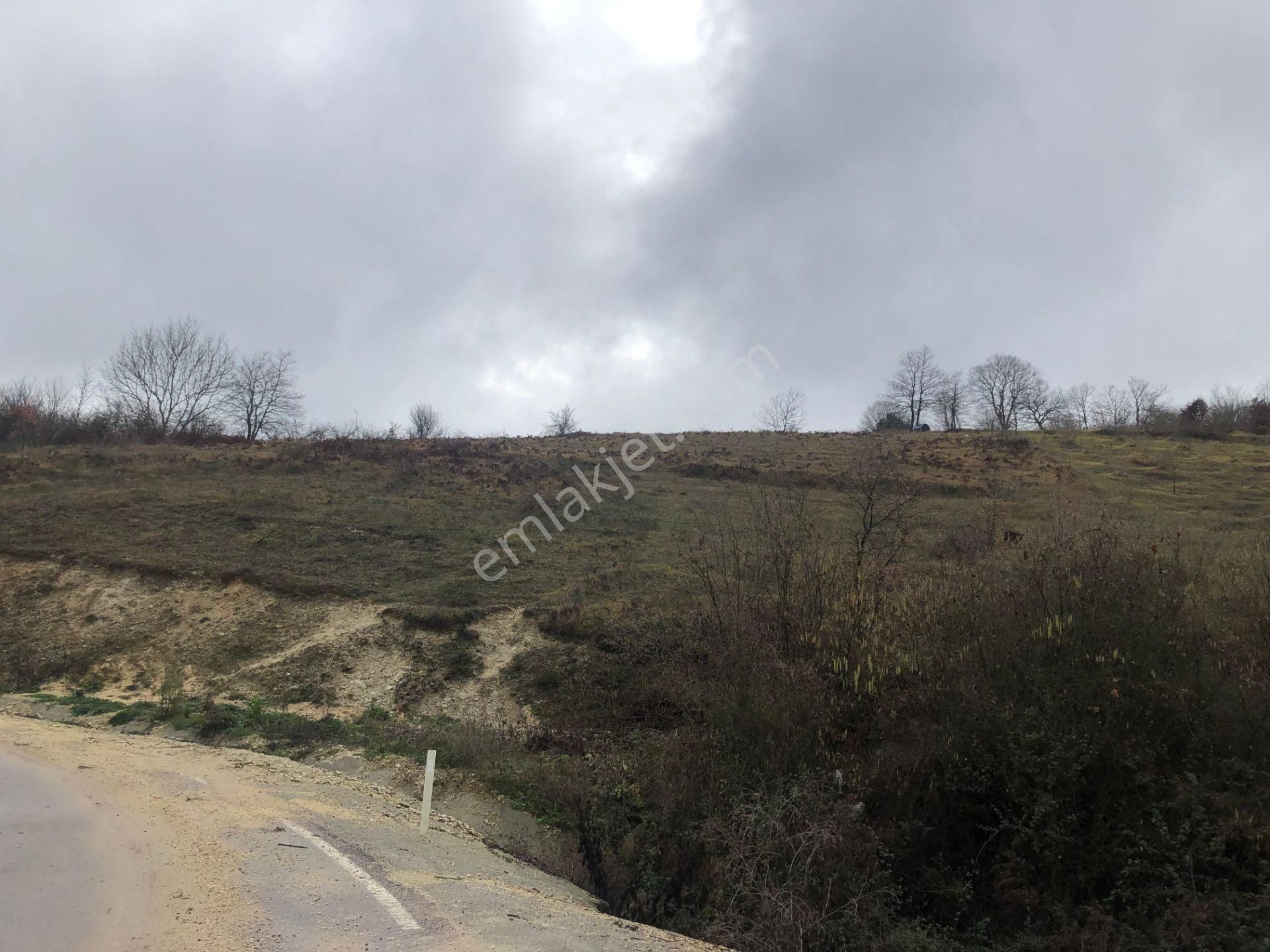 Kandıra Çalyer'de 2.312,5 M2 Satılık Arsa %5 İmarlı - Görsel 8