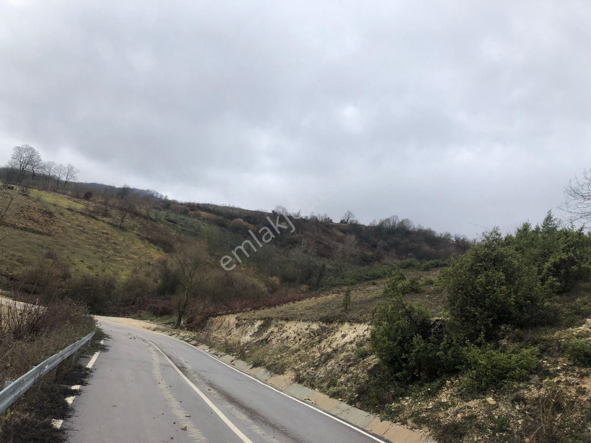 Kandıra Çalyer'de 2.819,48 M2 Satılık Arsa %5 İmarlı - Görsel 9