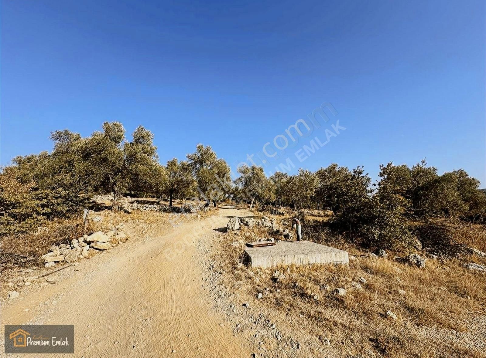 Milas Karacahisar Mah.su Elekt Yola Sıfır 10.754mt Satılık Tarla - Görsel 13