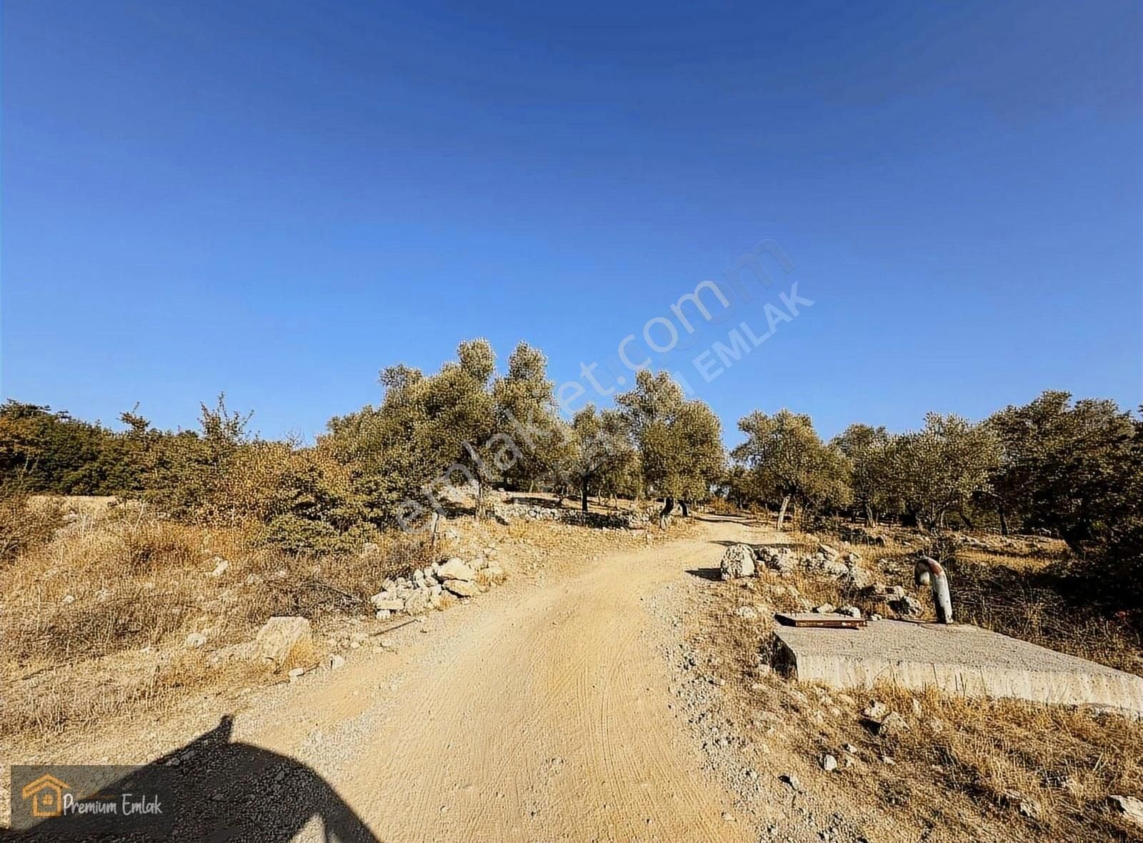 Milas Karacahisar Mah.su Elekt Yola Sıfır 10.754mt Satılık Tarla - Görsel 12