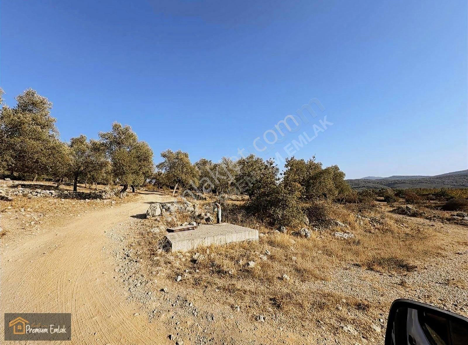 Milas Karacahisar Mah.su Elekt Yola Sıfır 10.754mt Satılık Tarla - Görsel 14