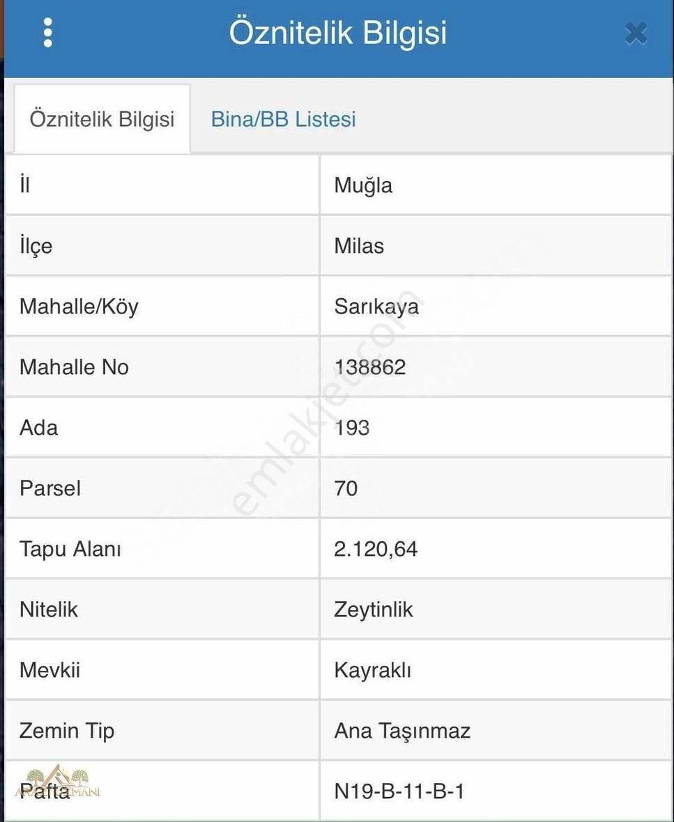 Milas Sarıkaya Satılık Zeytinlik Arazi Uzmanından Sarıkaya'da 2.100m2 Zeytinlik