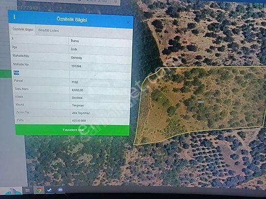 İznik Dereköy Satılık Tarla İznikte Acil Satılık Fırsat Tarlası