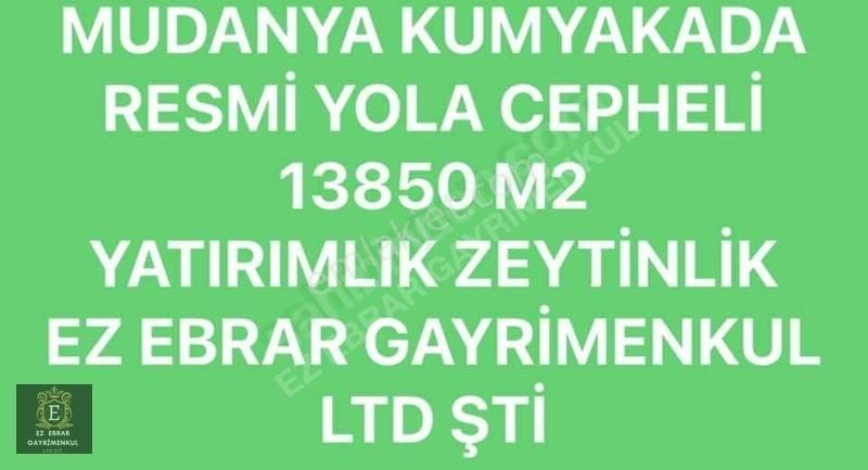 Mudanya Kumyaka Satılık Zeytinlik Bursa Mudanya Kumyakada 13850 M2yatırımlık Arazi