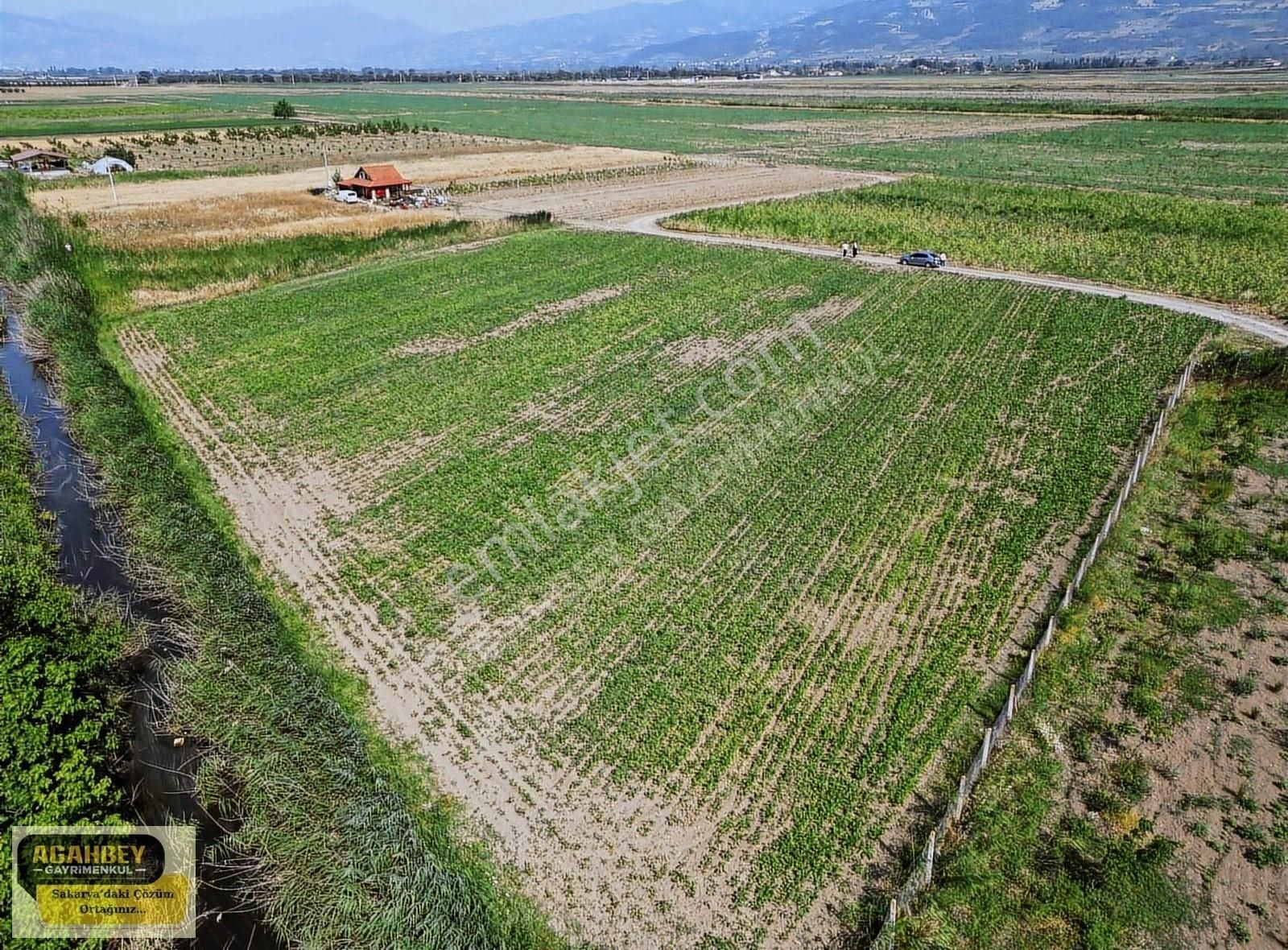 Pamukova Yenice Satılık Tarla Pamukova Yenice Mah. 5600m2 Yola Cephe Ev Yapılabilir Arazi !