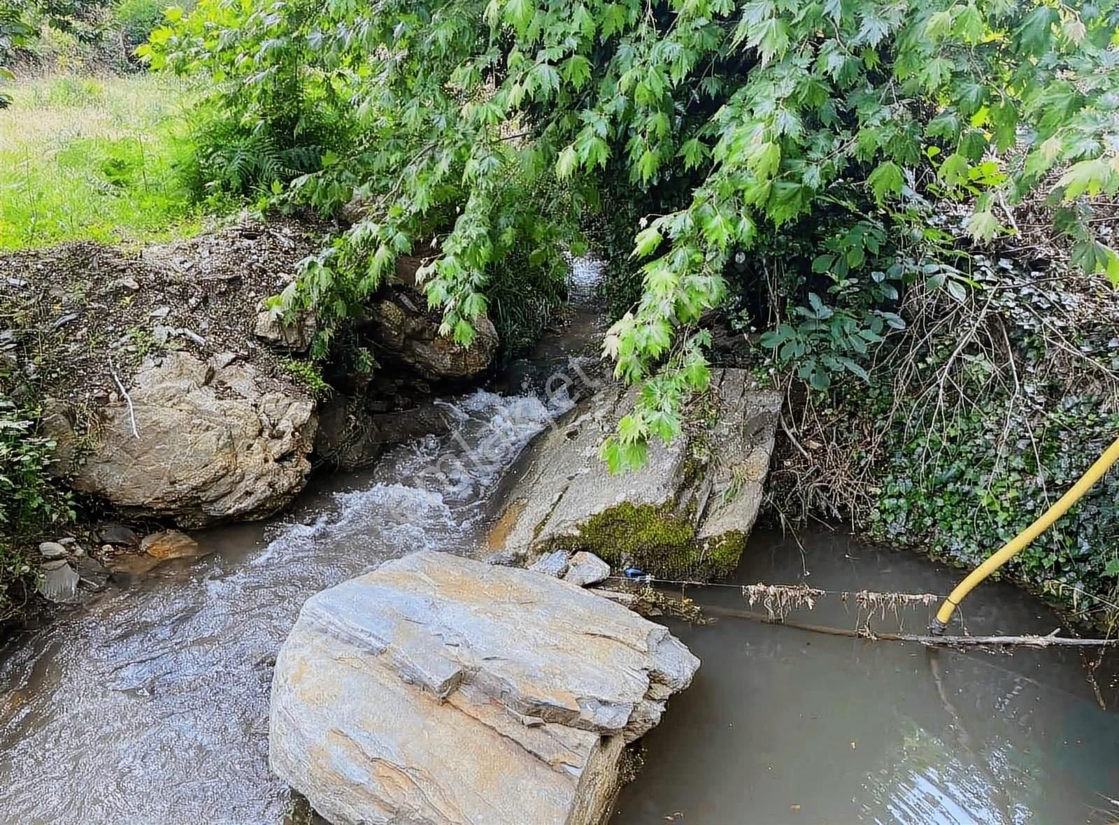 Kemalpaşa Ovacık Köyünde Tek Tapu Kiraz Bahçesi - Görsel 14