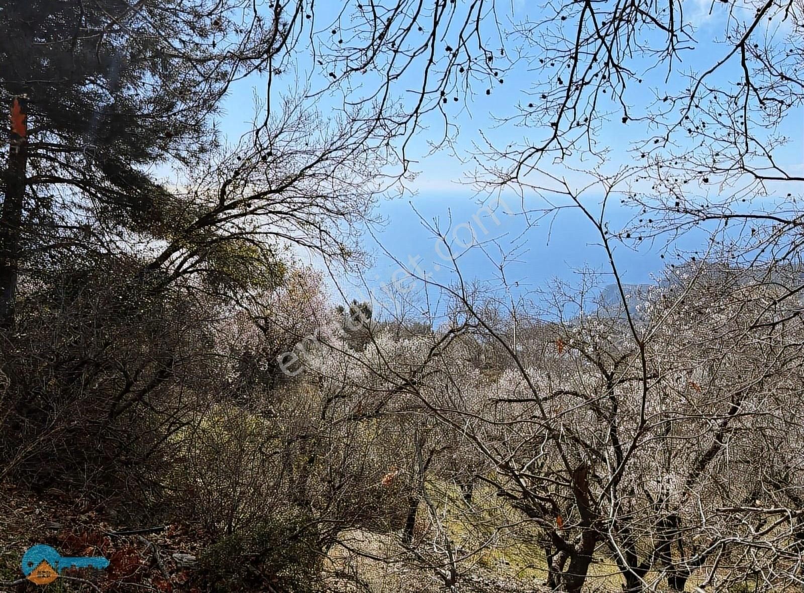 Gazipaşa Zeytinada Satılık Konut İmarlı Deniz Manzaralı Arsalar ...