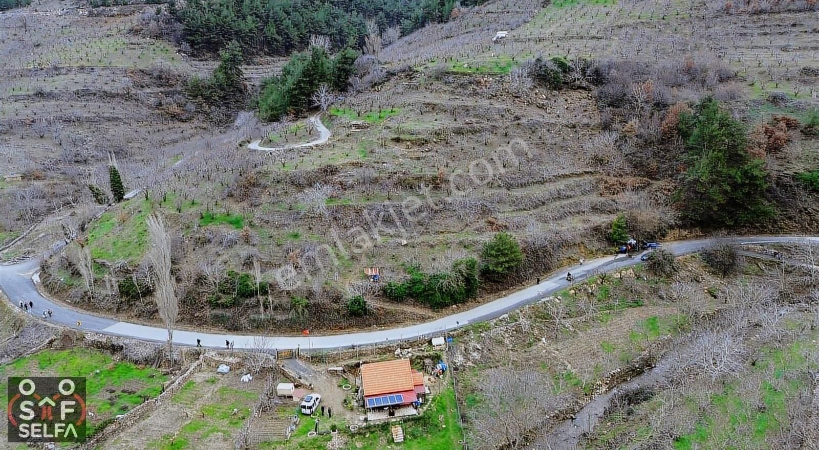 Kemalpaşa Yenikurudere Satılık Bağ & Bahçe Kemalpaşa Yenikurudere 10141 M² Satılık Bahçe