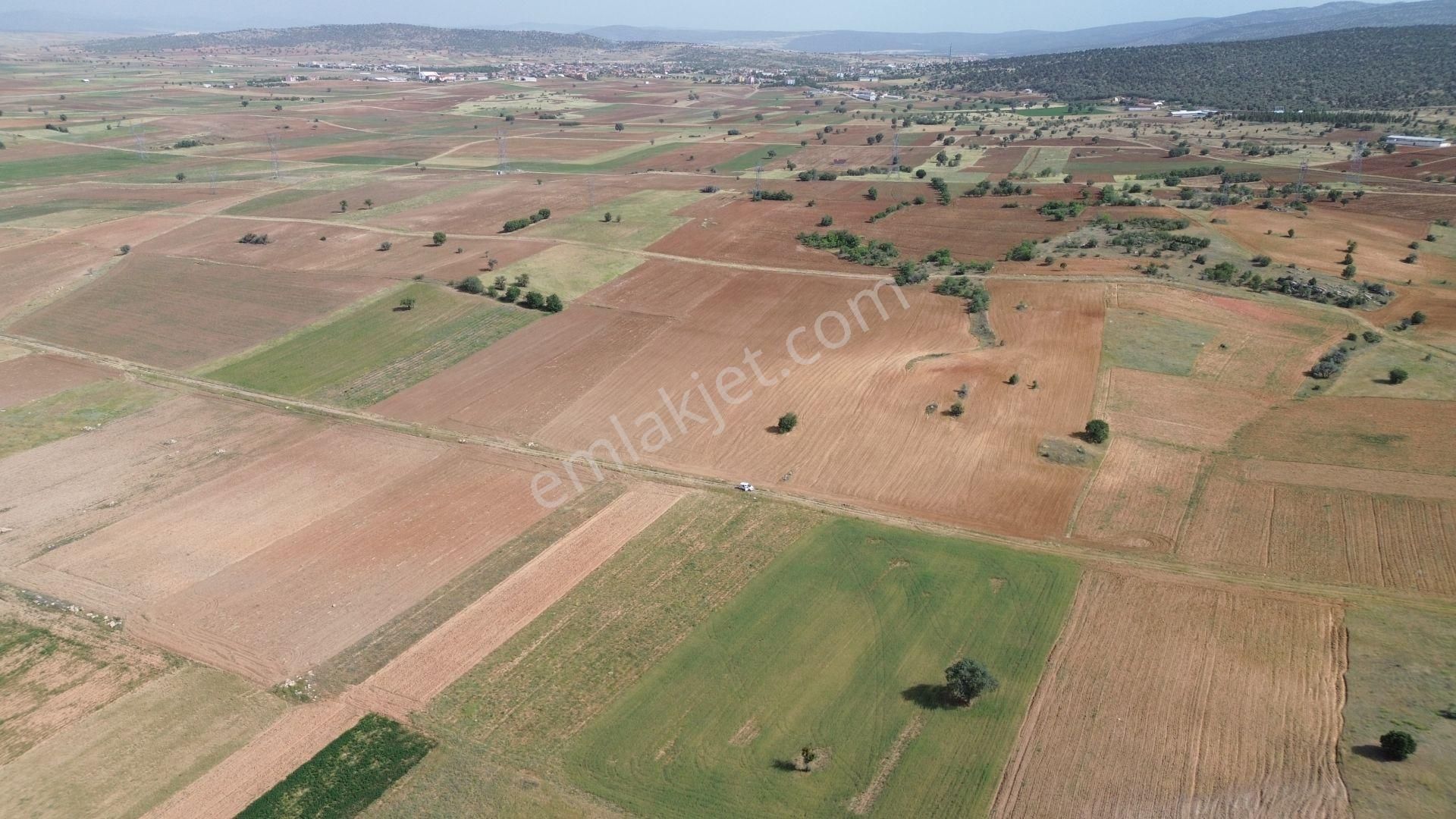 Akören Tülce Satılık Tarla Anayol Cepheli 4.872 M² / Konya / Meram / Hatunsaray / Tarla