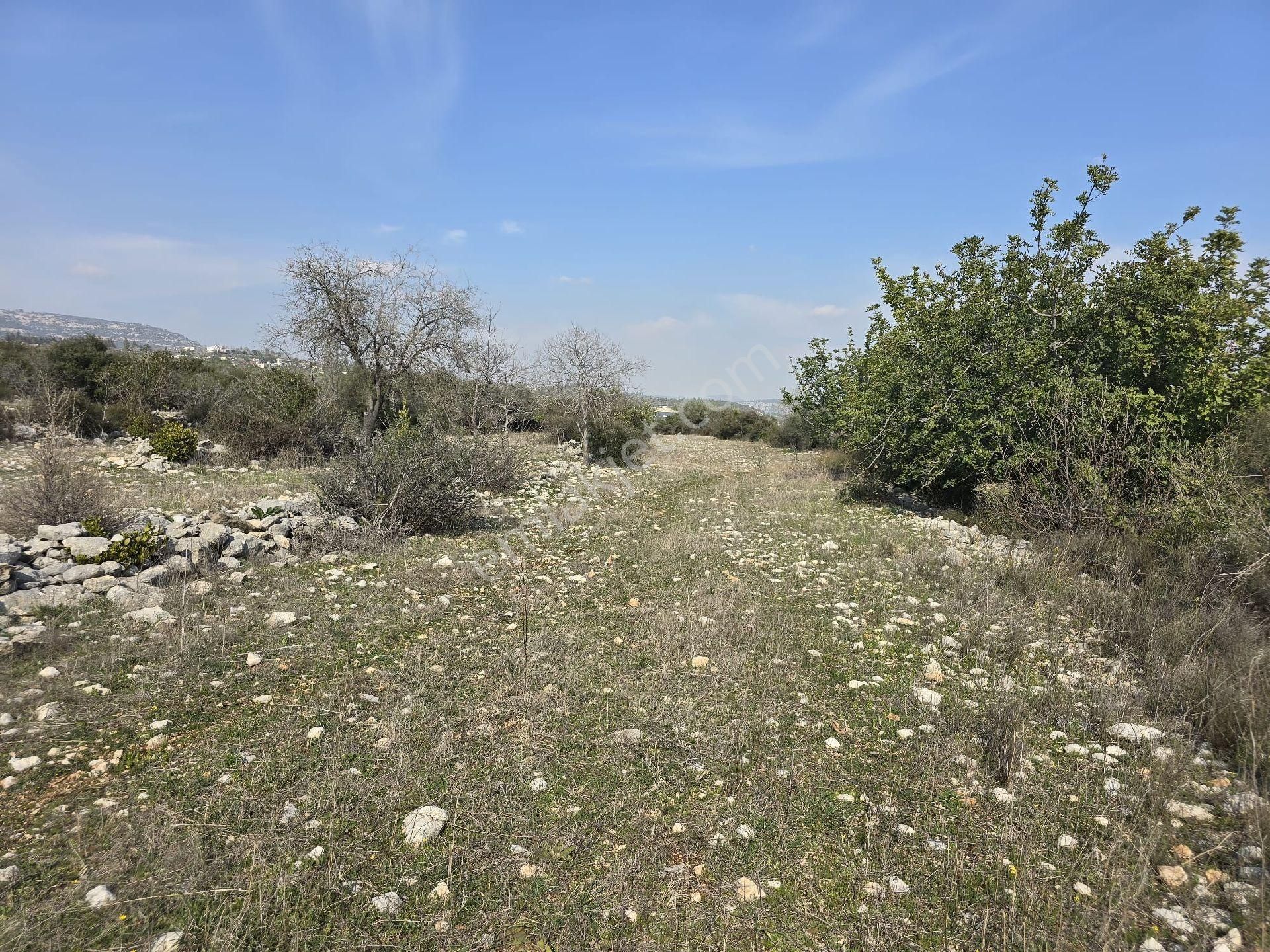 Tarsus Beylice Satılık Tarla Mersin Tarsus Beylice Mah.'de Satılık Arsa